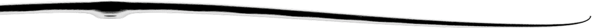 AFS Ultra Front Wing 900