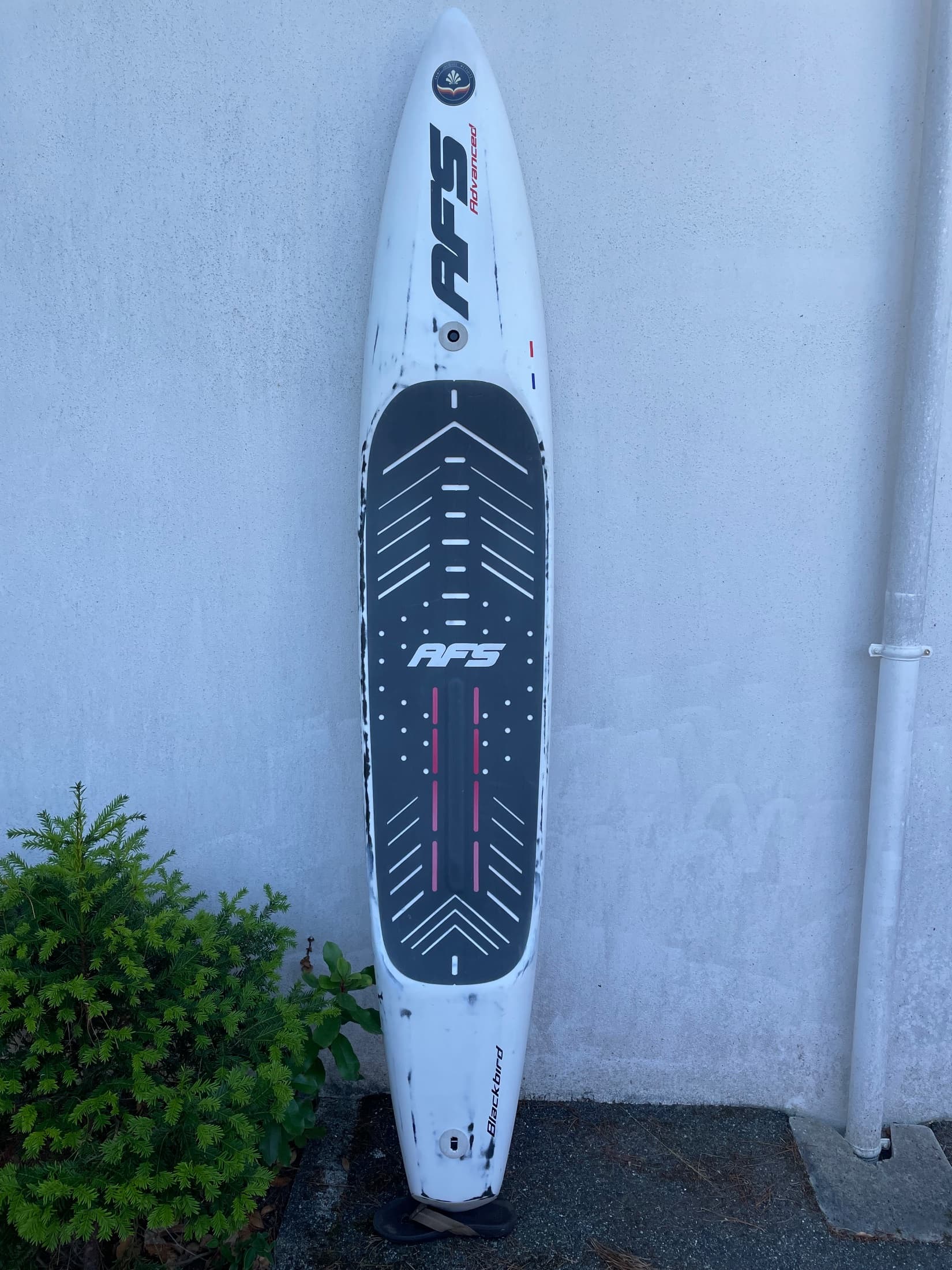 AFS BLACKBIRD V3 8’4 x 17
